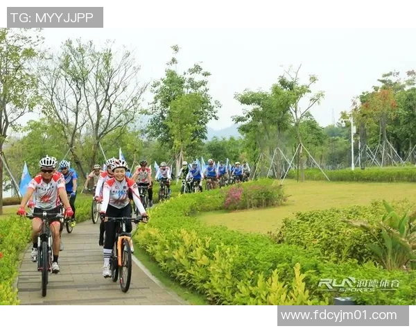 体育赛事安全问题深度分析及应对策略探讨